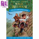 Magic Tree House 34 Late Lunch with Llamas 神奇树屋第一季34 平装 儿童初级章节书 魔法树屋 6-9岁 英文原版