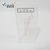 中小学生物教学用品 儿童教学寄生虫寄居蟹海葵海蜇浸制教学标本 蛔虫浸制标本