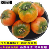采鲜惠【顺丰】辽宁铁皮柿子西红柿 丹东碱地绿腚草莓柿子 新鲜番茄 5斤