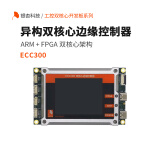 GINGKO银杏科技ARM FPGA双核心板开发板STM32H743 EP4CE115 ECC300 双核心板开发板ECC300（含专票）