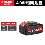 德力西（DELIXI）12V锂电池16.8V锂电池21V锂电池5节10节15节锂电池