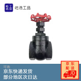 屹选工品 水管暖气开关闸阀 铜芯铸铁丝扣闸阀 DN15-4分