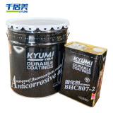 千居美 氟碳漆（含固化剂）哑光中酞蓝 20kg主漆+4kg固化剂 qjm-ftq-ygztl24 组