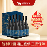 The Strong Sailor水手混酿干红葡萄酒750ml*6整箱红酒 智利进口红酒 送礼礼盒装