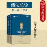 正版 债法总论 第二版上下 王洪亮 北京大学出版社 法学研究生教学书系 债的保全清偿替代损害法违约金定金 大学本科教材教科书