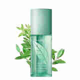 伊丽莎白雅顿（Elizabeth Arden） 第五大道女士香水少女花果香调 绿茶淡香水持久情人节礼物送女友 雅顿绿茶香水30ml