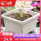 爱丽思（IRIS）圆形球跟植物环保树脂花卉盆栽植物园艺阳台塑料花盆 方形球根盆7.6L 直径27暖米色