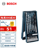 博世（BOSCH）Mini钻头+批头套装（15支装）木材、石材钻孔