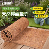 安赛瑞 椰棕地垫 植物铺面椰丝纤维棕榈卷 护坡防滑雪毯 宽1长2m 531158