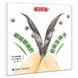 接力出版社科学之友经典图画书 生活真好玩6册  3-4-5-6岁经典科学启蒙绘本书籍 噼啪噼啪的野豌豆种子