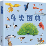 鸟类图典