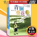 【正版包邮】青铜葵花 曹文轩草房子儿童文学