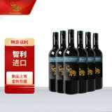智象智利炫彩赤霞珠干红葡萄酒750ml*6 整箱