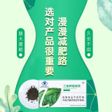 绿瘦【蓝帽认证】减肥茶减肥瘦身 三丽牌璇姆茶 茶多酚减肥男女士通用 【1盒试用装】2g*15袋