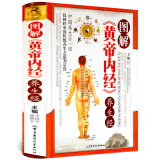 图解黄帝内经养生经 正版 皇帝内经 白话文中医养生保健书籍大全 黄帝内经 人体经络穴位图解