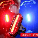 捷易达（JIEYIDA） 自行车灯USB可充电尾灯防水山地车单车警示爆闪变光LED夜骑装饰骑行装备 天狼星双色版-红蓝变光