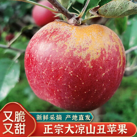ڴɽƻӦʱˮĴƻ츻ʿʾ560-65mm15.5Ԫ