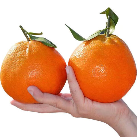 MPPMCK�ֽ������ҰҸ̵�������ˮ����װ������µ���2�ݸ��Ϸ�һ�䴺���ҰҸ�94.5��װ����4�����80mm+ 16.99Ԫ