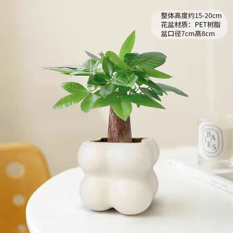 ۻ Է 15-25cm4.03Ԫ