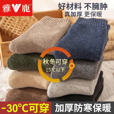 ¹5˫ﶬʿӺͲ೬ë޶ذѩس ɫ 5˫  ޼ӺůëȦ