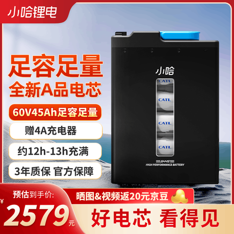 ʱ 綯﮵ 60V45AH2478.6Ԫ