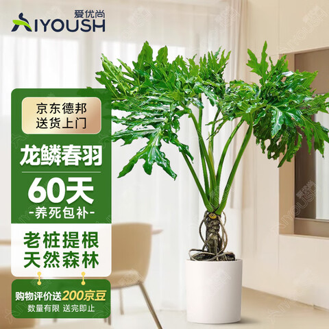 ����Ӫ�����������۴������Կ������ڰ칫����������辰��������ȩԴͷֱ��