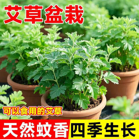 ڲ޹²Դֲʺļֲʳá硿ԭ*126.52Ԫ