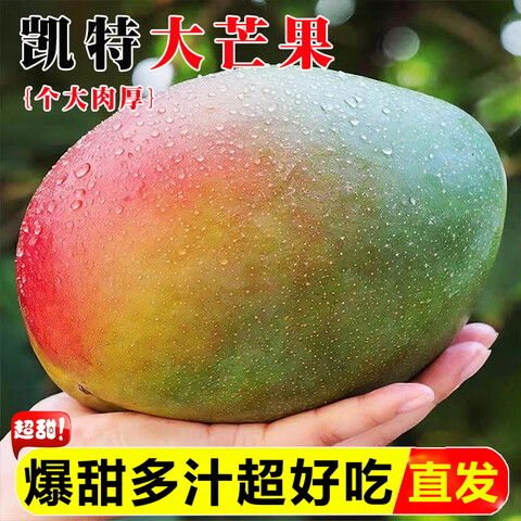 ڲӭĴ֦ââˮӦժʱʳþ8-9ﾫѡ200g+35Ԫ