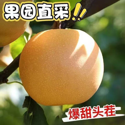 11.9Ԫ   ԰ֱɽʷˮժ＾±ӱ֭5(4.5)ѡװ200g+11.9Ԫɱ룩