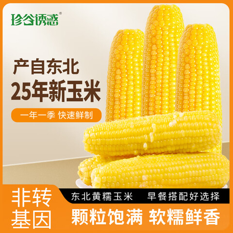 ����ջ�25�궫��Ŵ���������׻�Ŵ���װ�������״���������ʳ ��Ŵ����10֧ 2.4kg 15.99Ԫ