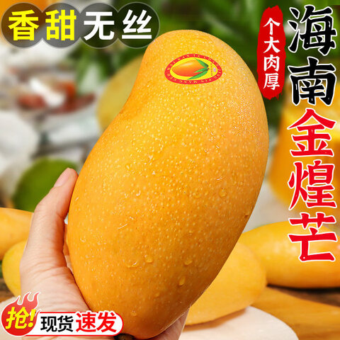 ��ӭ���â â�� 5������ ��4.5�� ������������â�� 12.9Ԫ����ɱƵ������