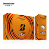 普利司通（Bridgestone）高尔夫球 E6 white高尔夫球二层球下场比赛练习球白色球