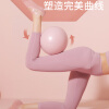 杜威克普拉提小球瑜伽25cm迷你塑形翘臀平衡加厚防爆滑配充气管 公主粉
