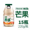 养味yanwee果奶玻璃瓶芒果味牛奶饮品220g*15瓶 新老包装随机发货