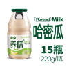 养味yanwee果奶玻璃瓶哈密瓜味牛奶饮品220g*15瓶 新老包装随机发货