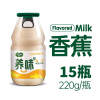 养味yanwee果奶玻璃瓶香蕉味牛奶饮品220g*15瓶 新老包装随机发货