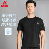 匹克（PEAK)羽毛球服男款运动衣速干排汗透气弹力健身训练短袖 黑色 YS11357 黑色 2XL