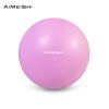 艾美仕 AiMeiShi 迷你瑜伽球 普拉提器材小球 平衡健身训练25CM藕荷紫