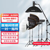 神牛（Godox）SL300三代补光灯LED摄影灯影棚视频录像常亮灯五灯120八角套装