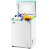 雪花（SNOWFLK）小冰柜家用小型冰箱立式冷柜 全冷冻储存母婴母乳冷柜节能低音省电柜 108升玻璃面板