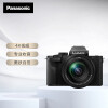 松下（Panasonic）松下G100DM微单相机 Panasonic 数码相机vlog相机 微单套机12-60mm 4K视频 专业收音 美肤自拍