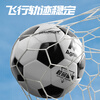 得力（deli）5号球足球青少年成人比赛训练标准PVC机缝耐磨 气筒赠完即止
