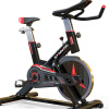 多德士（DDS）动感单车家用运动单车健身器材室内运动自行车脚踏车9301