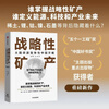 【官方正版】战略性矿产 大国资源竞争与中国方略 杨丹辉 刘刚 著 稀土 锂 钴 石墨等全球关键能源的争夺与投资策略 清洁能源转型 高科技产业