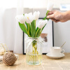 极度空间 玻璃花瓶插花瓶绿植物水培养生态瓶养花容器家居装饰摆件