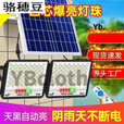 骆穂豆太阳能板灯户外庭院灯超亮防水路灯照明灯佛山家用室内大功率一体 1OOOM【纳米2024低亮度款】 5米防水快充线+遥控+光控
