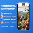 飞利浦太阳能摄像头360度无死角带夜视全景家用室内户外终身免流量4g远程无电无网防水无需连wifi监控器 太阳能4G免充值+双板快充+终身免费流量