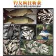 鱼诱过江风钓鱼颗粒饵料正品鲜丹饵邓刚推荐强效诱鱼饵四季通用野钓饵 1瓶【小试牛刀】