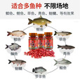 鱼诱过江风钓鱼颗粒饵料正品鲜丹饵邓刚推荐强效诱鱼饵四季通用野钓饵 1瓶【小试牛刀】