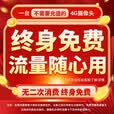 纽曼4g终身免流量监控摄像头家用监控器360度无死角带夜视室内外全景插电对话手机远程无需连wifi网络